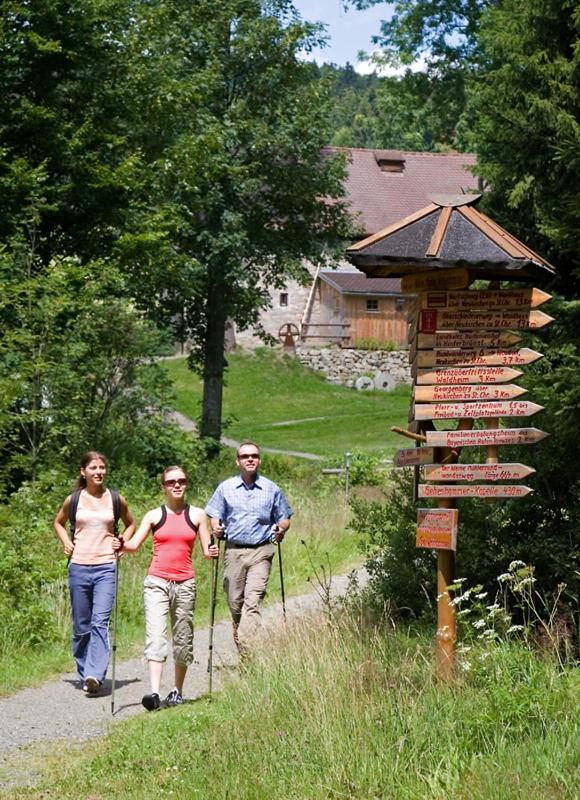 Landgasthof Am Sonnenhang Vohenstrauss Kültér fotó